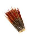 Pheasant Golden Red Tops 2 pc