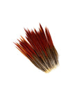 Pheasant Golden Red Tops 2 pc