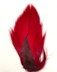 Gentleman's Grade Buck Tail