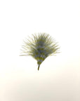 Marabou Barred Loose Small