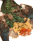 Pheasant Lady Amherst Pelt Selected First Quality (Full)