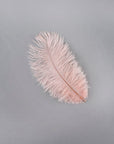 Ostrich Drab Feather Medium 1 pc