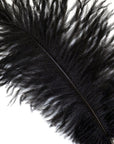 Ostrich Drab Feather Medium 1 pc