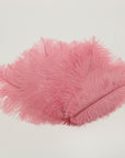 Ostrich Drab Feather Medium 1 pc