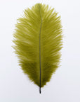 Ostrich Drab Feather Medium 1 pc