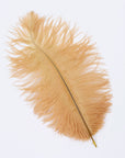 Ostrich Drab Feather Medium 1 pc