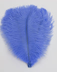 Ostrich Drab Feather Large 1 pc