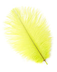 Ostrich Drab Feather Small 1 pc