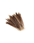 Pheasant Female Ringneck Tails 2 pc