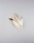 Pheasant Silver Tail Selected 1 pc