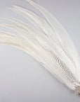 Pheasant Silver Tail Selected 1 pc