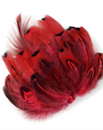 Pheasant Ringneck Heart Dyed 0.10oz