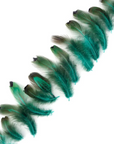 Pheasant Ringneck Heart Dyed 0.10oz
