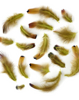 Pheasant Ringneck Heart Dyed 0.10oz