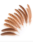 Pheasant Tails 4-5in 12 pc