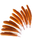 Pheasant Tails 4-5in 12 pc