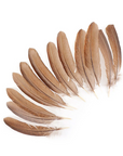Pheasant Tails 4-5in 12 pc