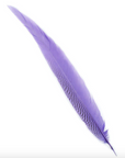 Pheasant Silver Tails Select 20-25in 1pc