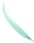 Pheasant Silver Tails Select 20-25in 1pc