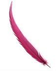 Pheasant Silver Tails Select 20-25in 1pc