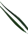 Pheasant Tail Venery Select 30-40in 1pc