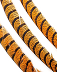 Pheasant Lady Amherst Center Tails 20-40in 1 pc