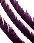 Pheasant Lady Amherst Center Tails 20-40in 1 pc