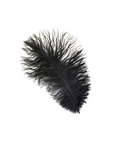Ostrich Drab Feather Large 1 pc