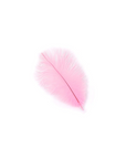 Ostrich Drab Feather Large 1 pc