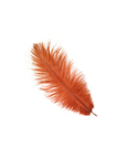 Ostrich Drab Feather Large 1 pc