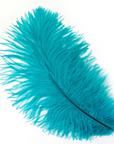 Ostrich Drab Feather Large 1 pc