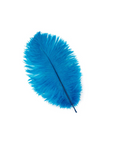 Ostrich Drab Feather Large 1 pc