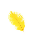 Ostrich Drab Feather Large 1 pc