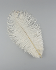 Ostrich Drab Feather Large 1 pc