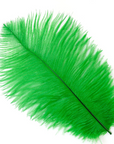 Ostrich Drab Feather Large 1 pc