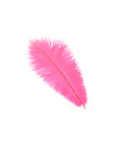 Ostrich Drab Feather Large 1 pc