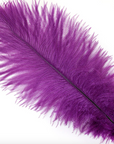 Ostrich Drab Feather Large 1 pc