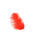 Ostrich Drab Feather Large 1 pc