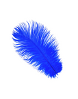 Ostrich Drab Feather Large 1 pc