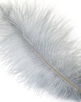 Ostrich Drab Feather Large 1 pc