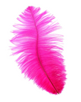 Ostrich Drab Feather Large 1 pc