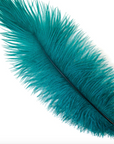 Ostrich Drab Feather Large 1 pc