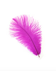 Ostrich Drab Feather Large 1 pc