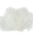 Ostrich Drab Feather Large 1 pc