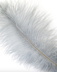 Ostrich Drab Feather Medium 1 pc