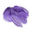 Pheasant Silver Plumage 12pc
