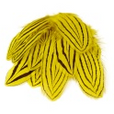 Pheasant Silver Plumage 12pc