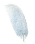 Ostrich Feather X-Large Herl 1 pc