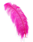 Ostrich Feather X-Large Herl 1 pc
