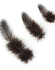 Guinea Plumage Loose 1/8 oz
